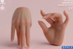 1/6 Scale Hand Set AT209B