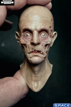 1/6 Scale Handsome Dude Head Sculpt