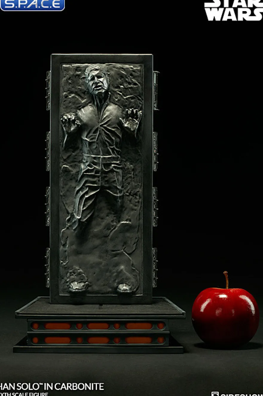 1/6 Scale Han Solo in Carbonite