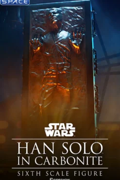 1/6 Scale Han Solo in Carbonite
