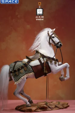 1/6 Scale Harness DT003-S