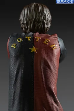 1/10 Scale Harry Potter