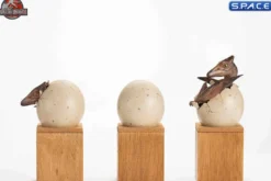 1/2 Scale Hatching Pterosaur Set