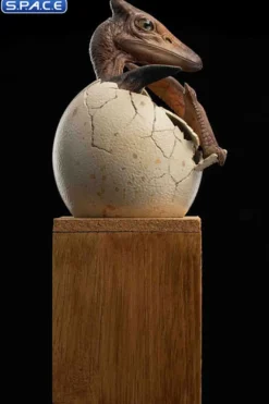 1/2 Scale Hatching Pterosaur Set