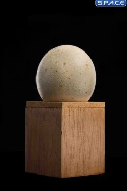 1/2 Scale Hatching Pterosaur Set