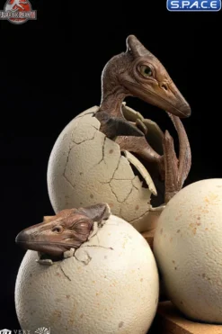 1/2 Scale Hatching Pterosaur Set