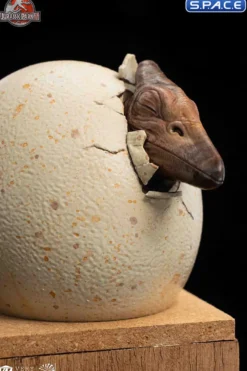 1/2 Scale Hatching Pterosaur Set