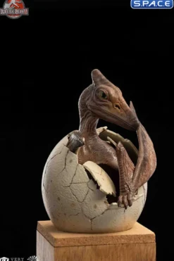 1/2 Scale Hatching Pterosaur Set