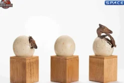 1/2 Scale Hatching Pterosaur Set