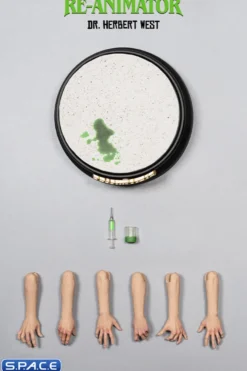 1/6 Scale Herbert West (Re-Animator)