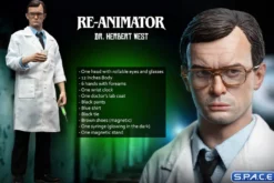 1/6 Scale Herbert West (Re-Animator)
