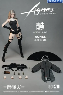 1/6 Scale Holy Light Agnes - Serene Hound