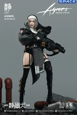 1/6 Scale Holy Light Agnes - Serene Hound