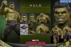 1/6 Scale Hulk Movie Masterpiece MMS905