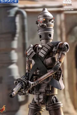 1/6 Scale IG-11