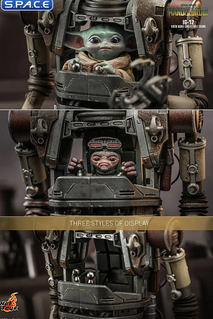 1/6 Scale IG-12 TV Masterpiece TMS104