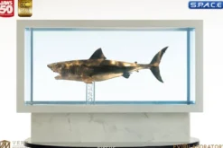 1/18 Scale Jaws Bronze Maquette