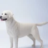 1/6 Scale Labrador Retriever