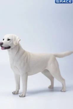 1/6 Scale Labrador Retriever