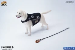 1/6 Scale Labrador Retriever