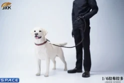 1/6 Scale Labrador Retriever