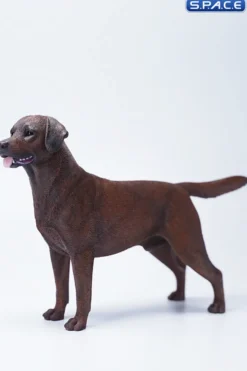 1/6 Scale Labrador Retriever