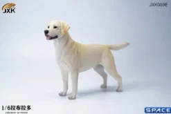 1/6 Scale Labrador Retriever