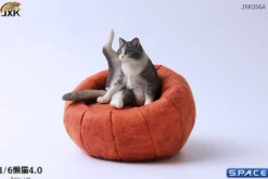 1/6 Scale lazy Cat