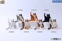 1/6 Scale lazy Cat