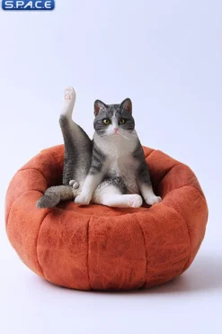 1/6 Scale lazy Cat