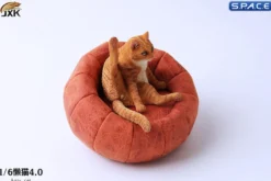 1/6 Scale lazy Cat