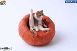 1/6 Scale lazy Cat
