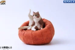 1/6 Scale lazy Cat