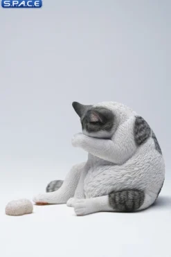 1/6 Scale Lazy Cat 6.0