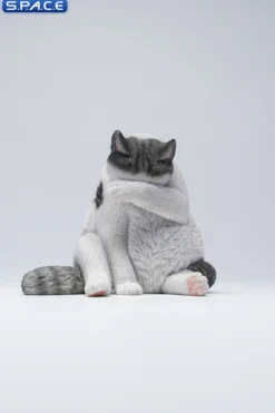 1/6 Scale Lazy Cat 6.0