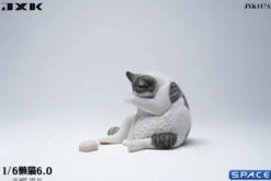 1/6 Scale Lazy Cat 6.0
