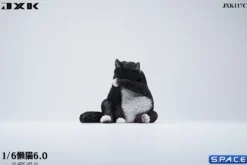 1/6 Scale Lazy Cat 6.0