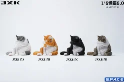1/6 Scale Lazy Cat 6.0