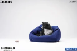 1/6 Scale Lazy Cat 6.0