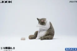 1/6 Scale Lazy Cat 6.0