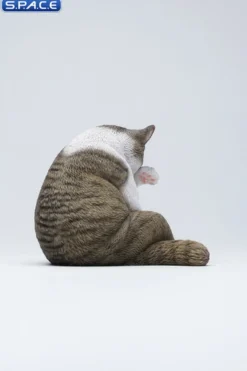1/6 Scale Lazy Cat 6.0
