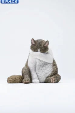 1/6 Scale Lazy Cat 6.0