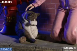 1/6 Scale Lazy Cat 6.0