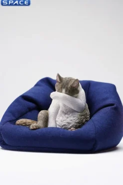 1/6 Scale Lazy Cat 6.0
