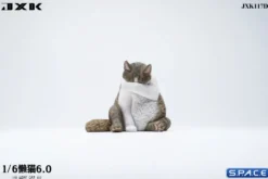 1/6 Scale Lazy Cat 6.0