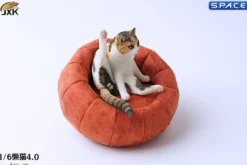 1/6 Scale lazy Cat (dark brown/white)