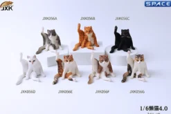 1/6 Scale lazy Cat (dark brown/white)