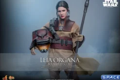 1/6 Scale Leia Organa »Boushh Disguise« Movie Masterpiece MMS854