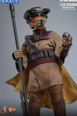 1/6 Scale Leia Organa »Boushh Disguise« Movie Masterpiece MMS854