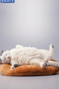 1/6 Scale lethargic Cat